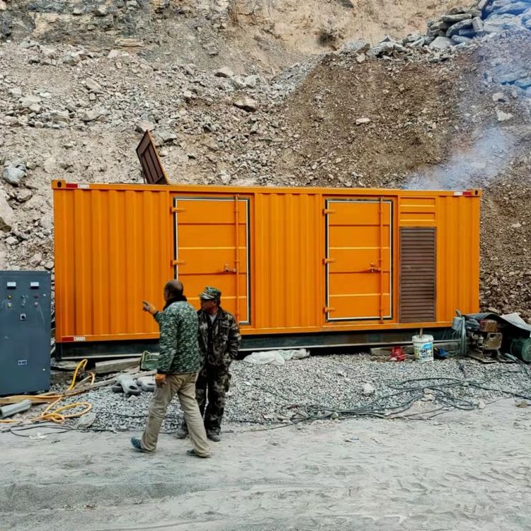 高邑如何选择适合自己的 800KW 柴油发电机组？